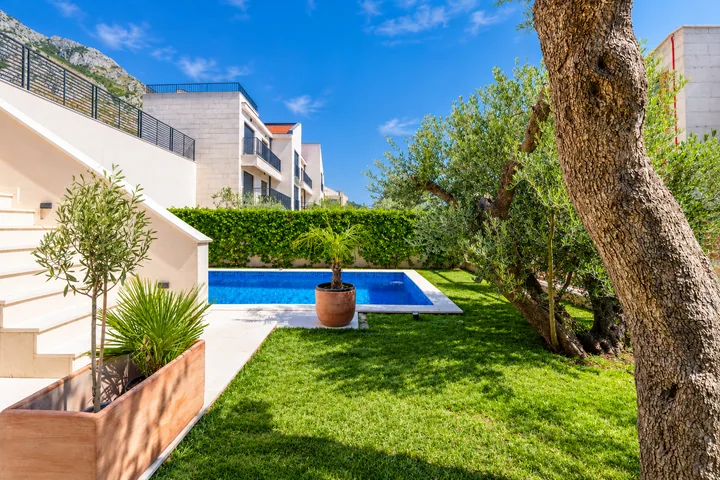 Mediterranean garden with olive trees – Villa MonteMare